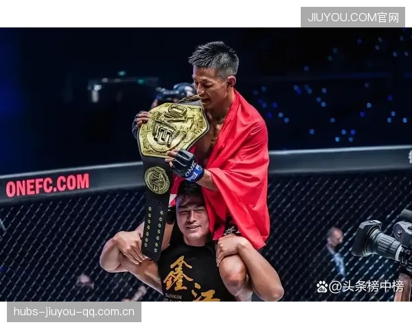 UFC年度最佳KO再现！最后一击展现武道精神